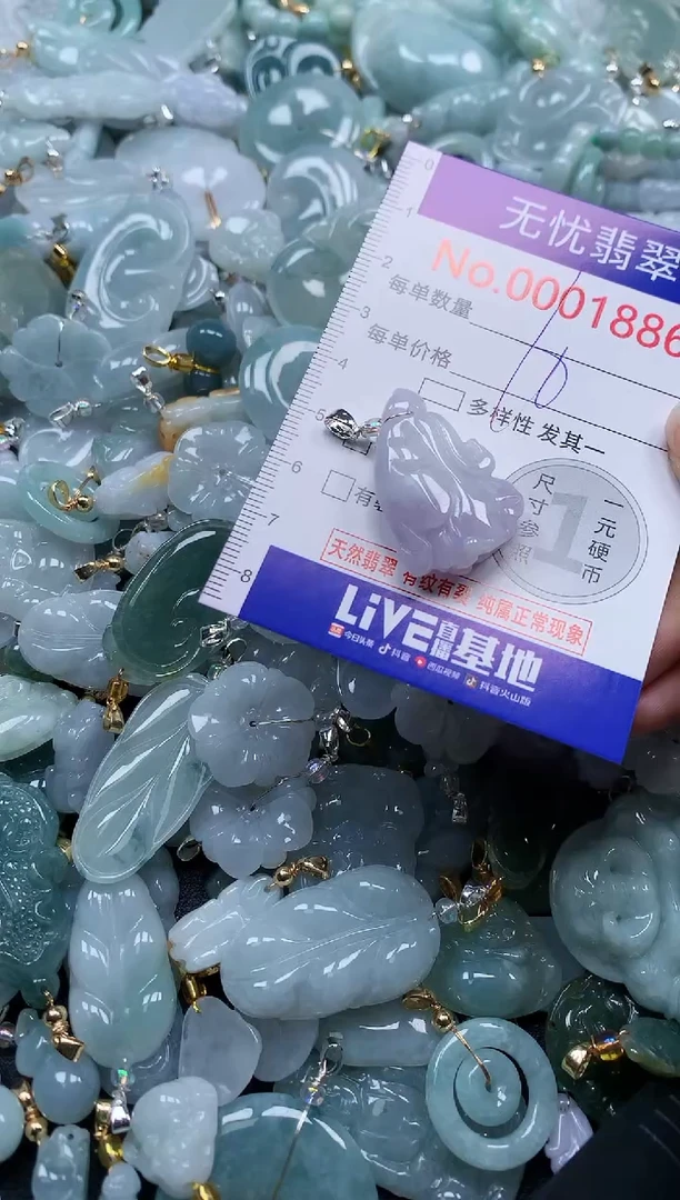 颈饰未镶嵌翡翠1886