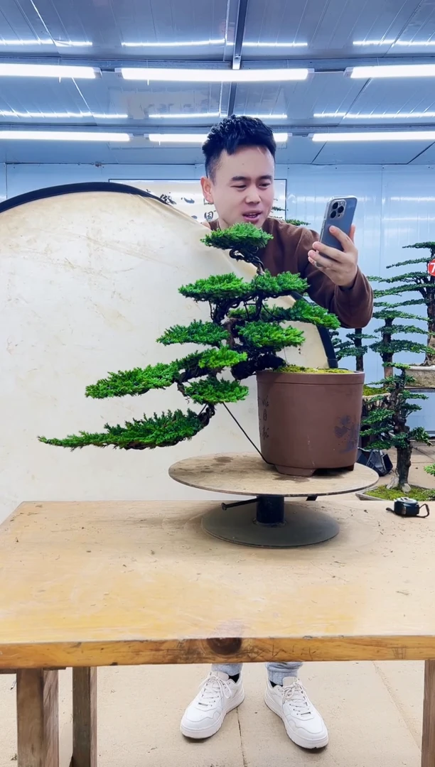 无花朵000000000000000000000000