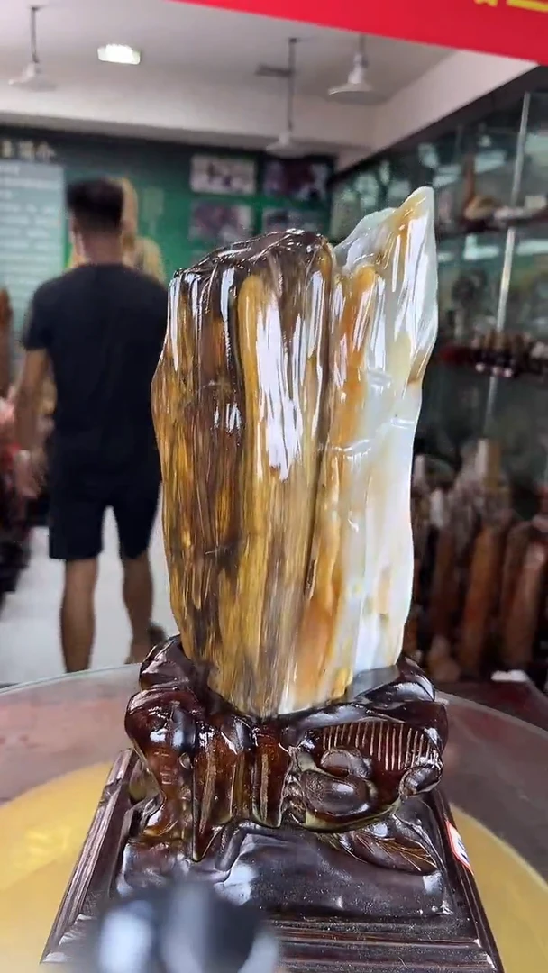 未镶嵌珠宝奇石硅化玉缅甸天然树化玉摆件