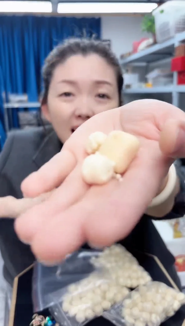 吊坠菩提根/象牙果象牙果配件一套