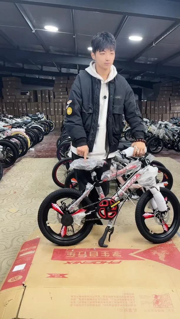 18寸-单速-黑红-一体【运损微瑕，不退不换】