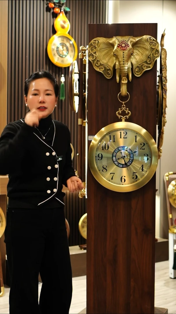 壁挂款0000000000000000000000000