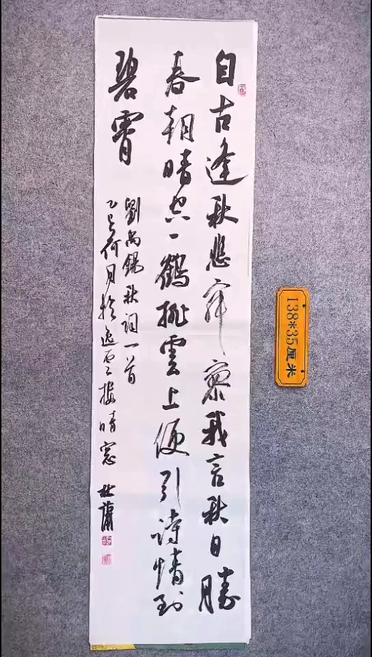 书法111中书协 杜潇书法放漏