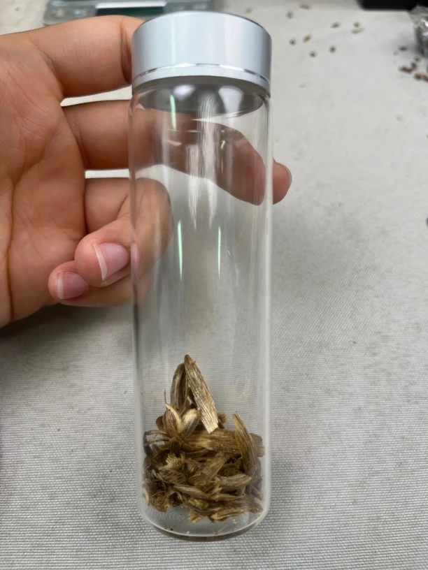 沉水T4紫奇沉香福利款，多样性发一