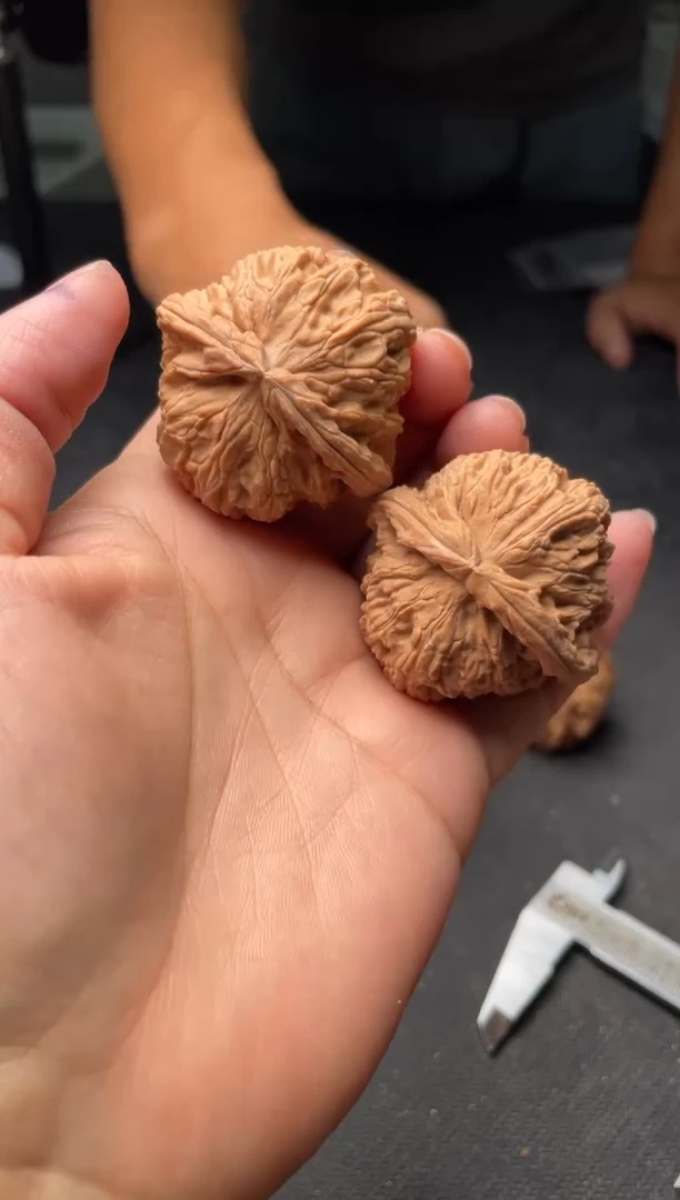 把件文玩核桃w178  白狮子  42