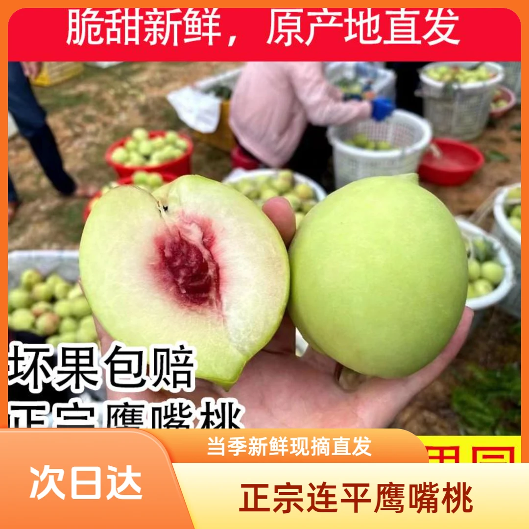 正宗河源连平上坪中村鹰嘴桃当季新鲜水果纯甜无酸脆甜现摘直发桃子同城送广东省