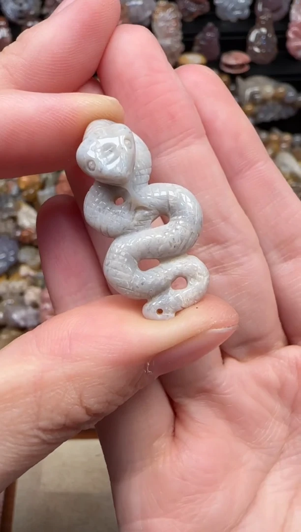 颈饰未镶嵌硅化珊瑚（珊瑚玉）250