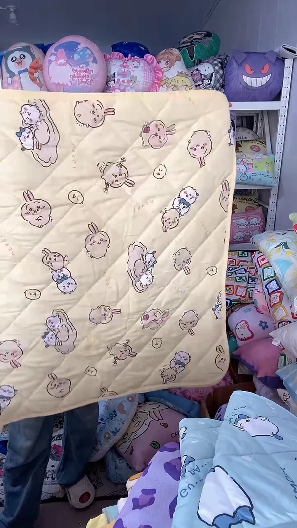 100*200cm  吉伊卡哇垫子四季