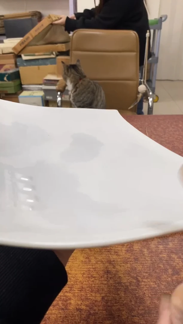 瓷片699小林轩欢迎您