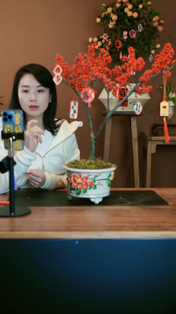 【闪购商品】盆景冬青