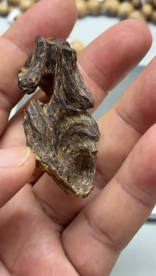 沉香吊坠越南芽庄随型沉水吊坠多样性发其一