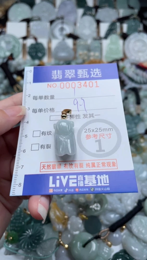 翡翠未镶嵌颈饰00..3401