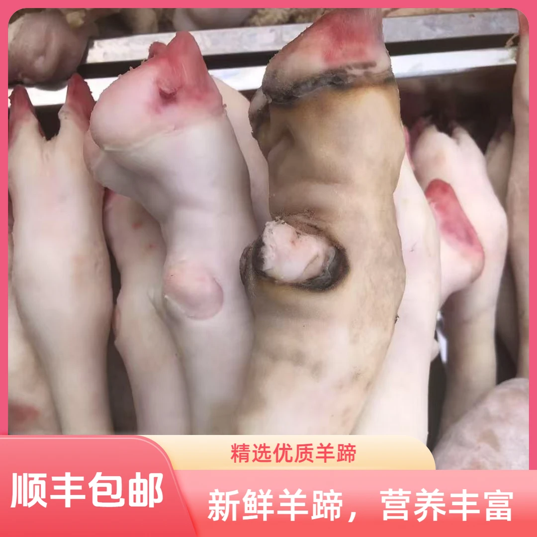 【顺丰包邮】小花羊蹄清真新鲜生羊蹄带筋优质绵羊蹄营养丰富