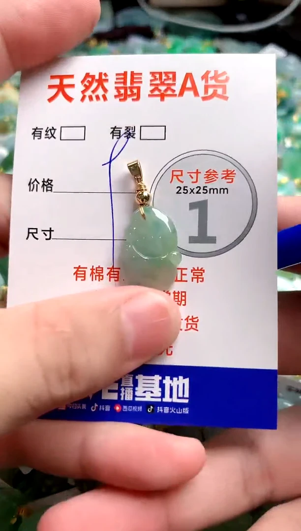 翡翠未镶嵌颈饰25100816