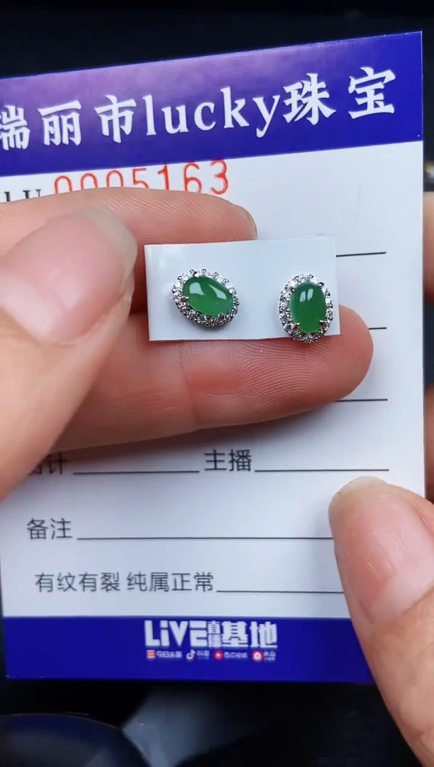 翡翠银S925镶嵌颈饰5163