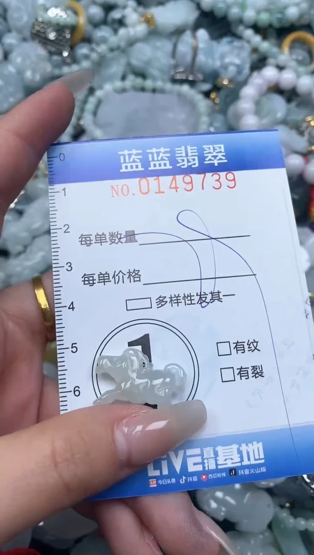 【闪购商品】翡翠颈饰未镶嵌闪购0149739