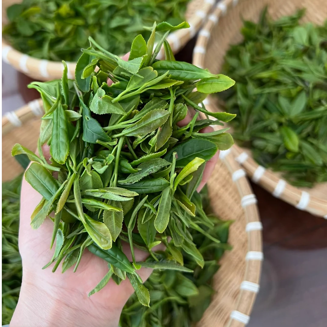 绿雪凝香 明前野生高山绿茶，奶香花香浓郁