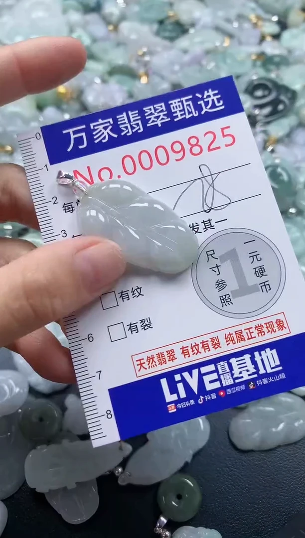 吊坠(不含链)未镶嵌翡翠9825