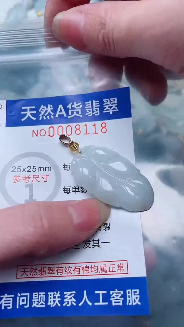 翡翠未镶嵌吊坠(不含链)1