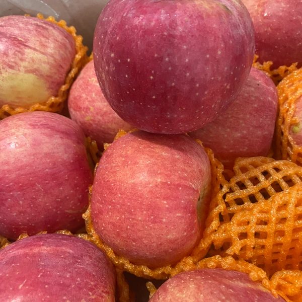 高原红富士苹果5斤/袋陕西省