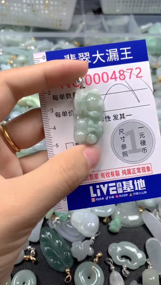 颈饰未镶嵌翡翠4872