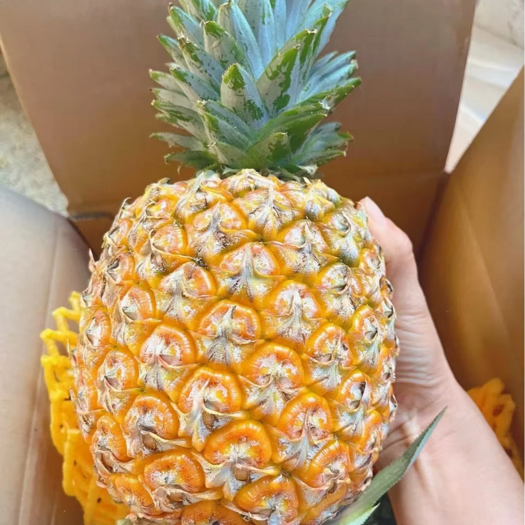 海南芒果凤梨一个750g