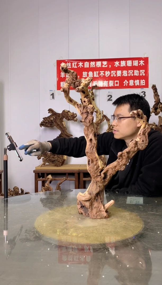 【闪购商品】木枯树摆件 粗磨粗加工半成品 毛料