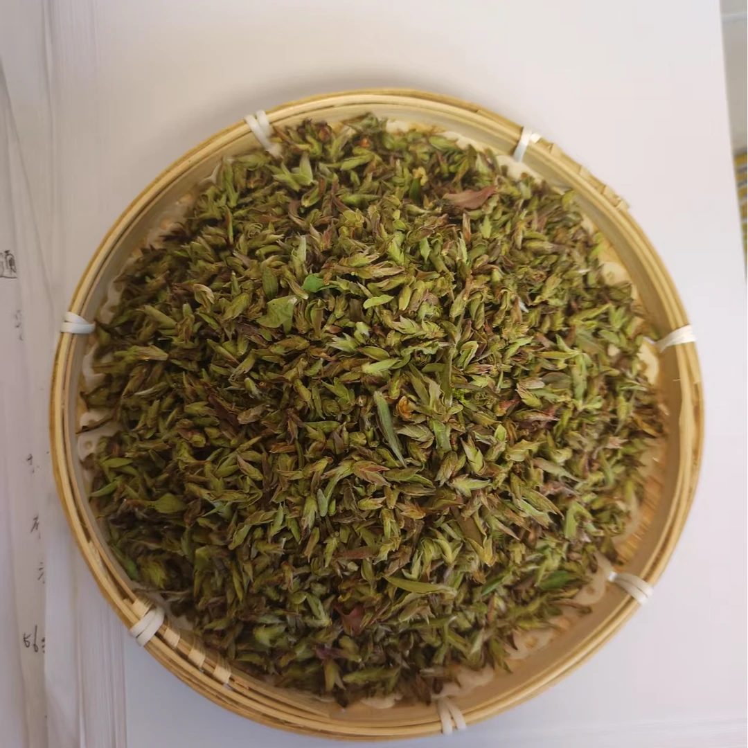 2025年云南普洱茶野生紫芽苞生茶50g/袋