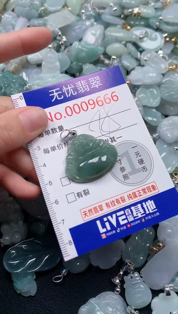 颈饰未镶嵌翡翠9666