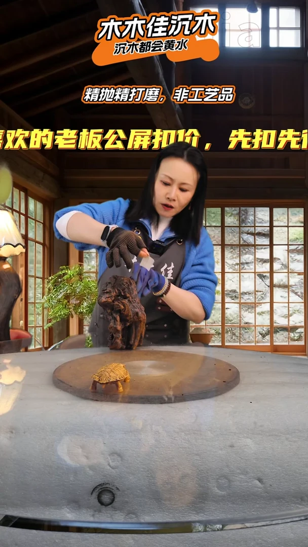 暴*木木佳沉木鱼缸造景483