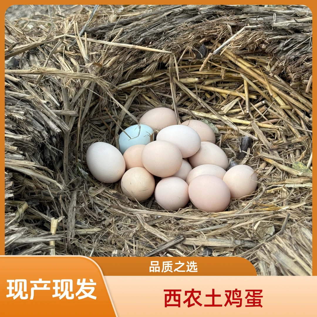 正宗林下散养粉壳绿壳土鸡蛋混装50枚 京东包邮