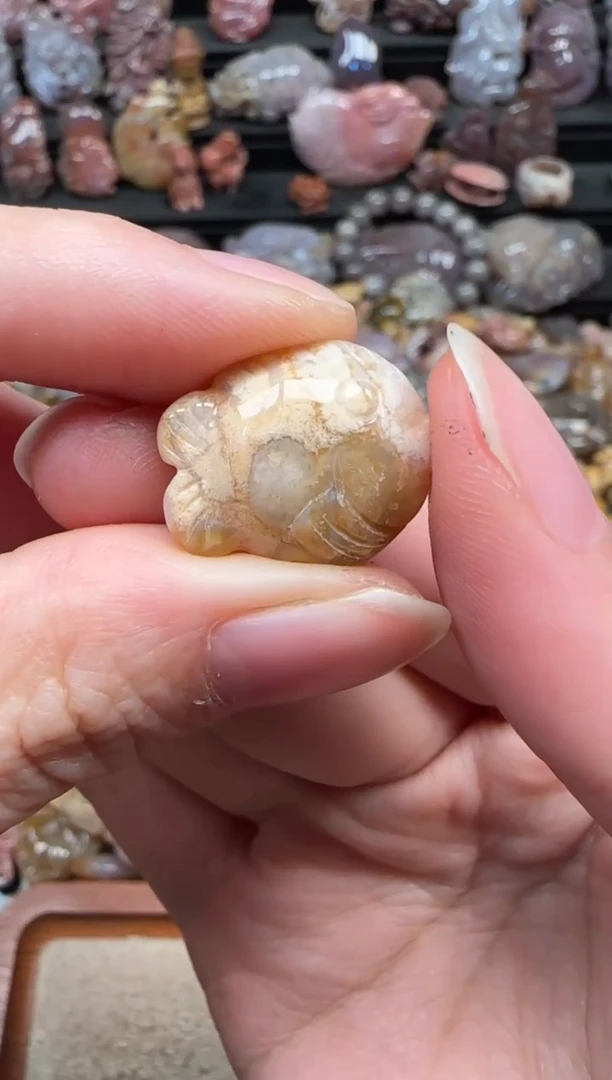 颈饰未镶嵌硅化珊瑚（珊瑚玉）293