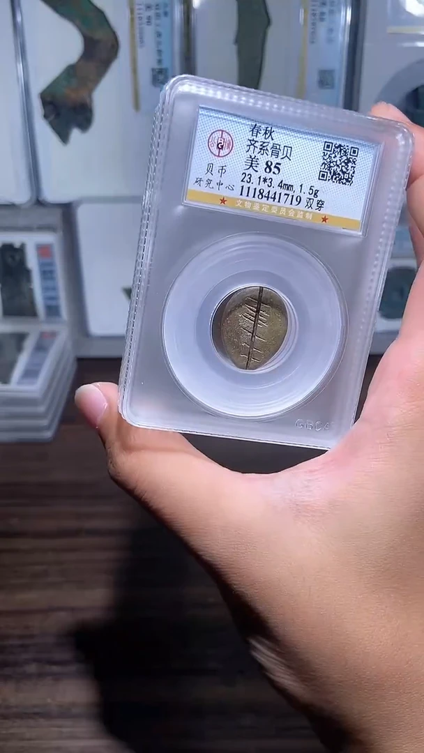 铜历代 骨贝骨贝一枚