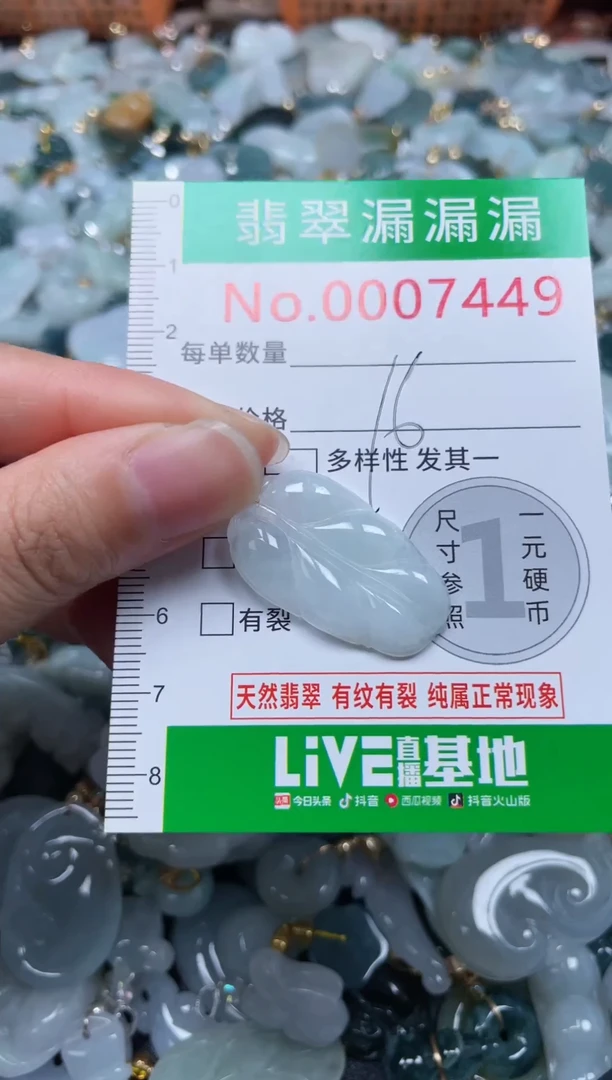 颈饰未镶嵌翡翠7449