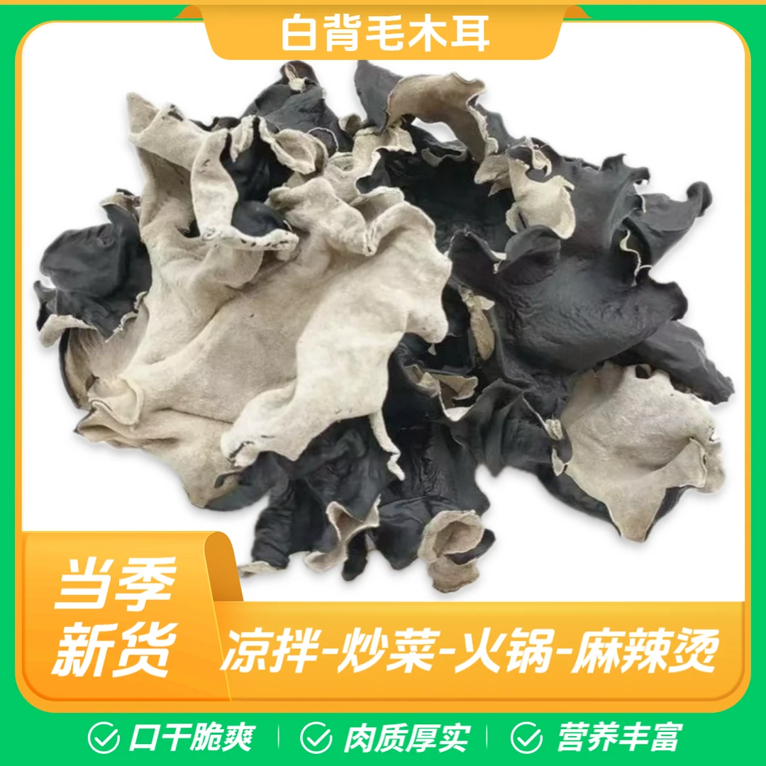头茬白背毛木耳脆爽营养美味可用于火锅螺蛳粉食材