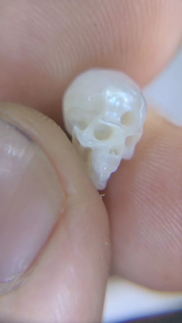 淡水珍珠未镶嵌颈饰珍珠骷髅zkl1多样性发货发其一