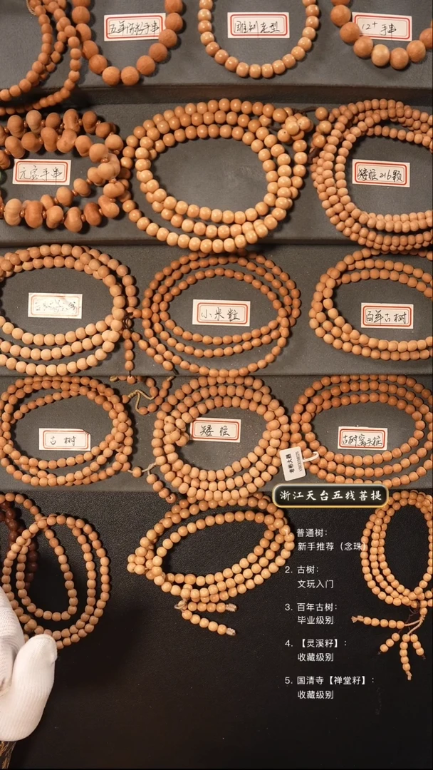 【闪购商品】五线菩提吊坠去皮脖挂