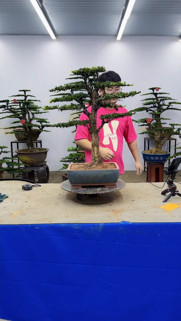 无花朵一物一拍，所见即所得