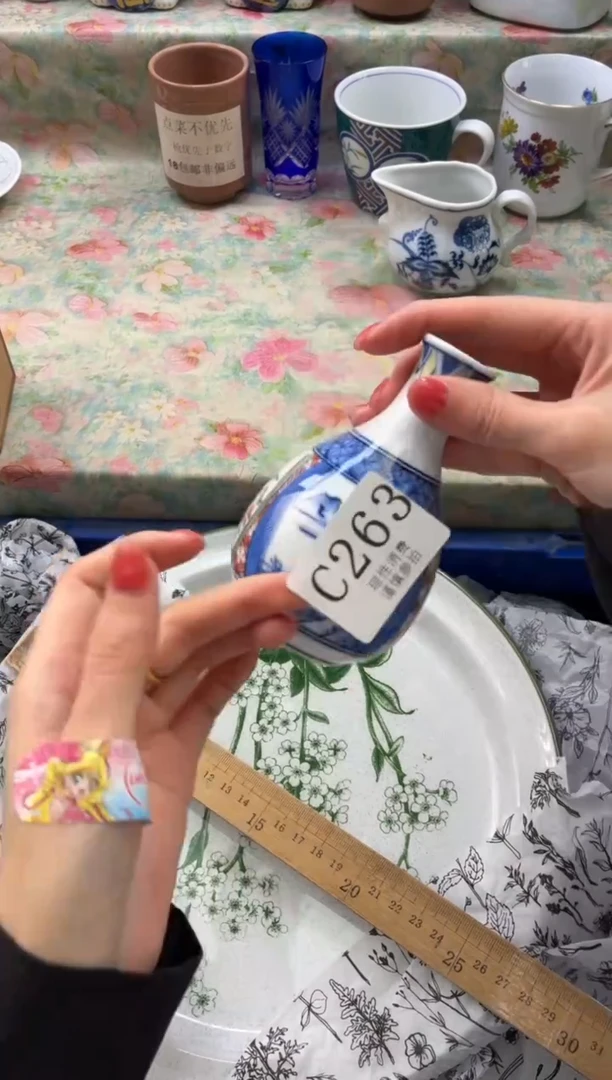 瓷片豆**w       C263