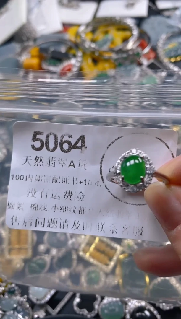 翡翠未镶嵌吊坠(不含链)5064