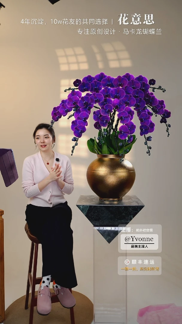 全部花朵033一物一拍蝴蝶兰艺术盆景