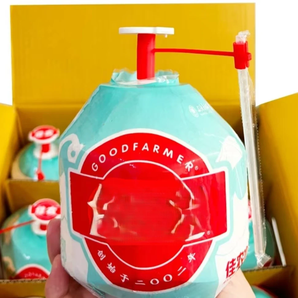 三宝爸甄选新鲜椰青易开口清甜可口水果一箱6个装