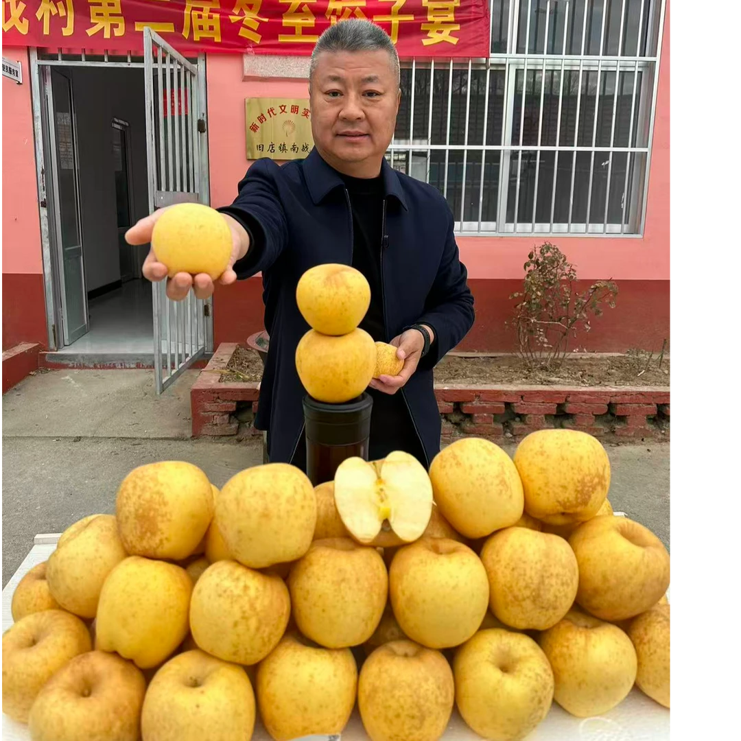 02【张书记专属】山地黄金维纳斯苹果个头不大表面有果秀纯甜无酸山东省