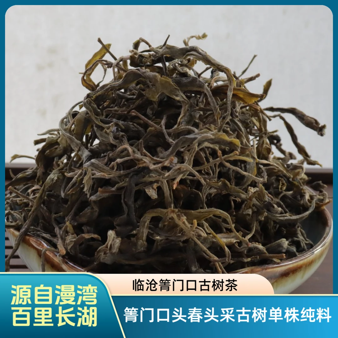 漫湾-箐门口古树单株散料-2025年头春头采古树纯料