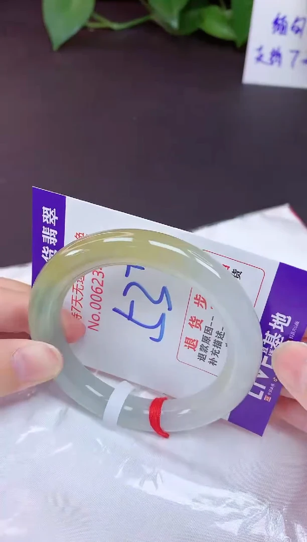 未镶嵌手镯翡翠54（7天无理由退换 ）