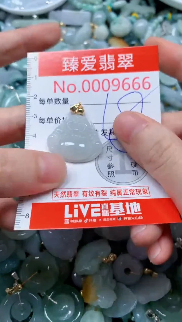 翡翠未镶嵌吊坠(不含链)9666