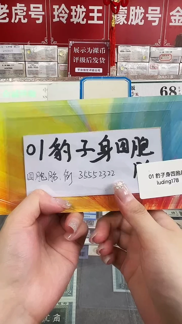 01豹子身四胞胎礼册