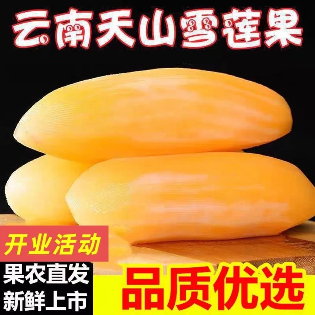 【亏本一万单】云南正宗黄心天山雪莲果现挖新鲜应季水果清甜脆爽m2