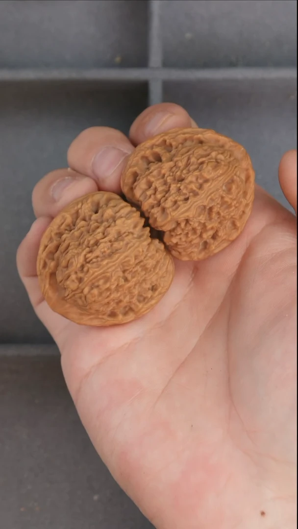 文玩核桃把件尺寸41+定向红南疆石
