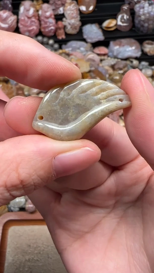 颈饰未镶嵌硅化珊瑚（珊瑚玉）372